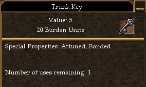 Trunk Key.jpg