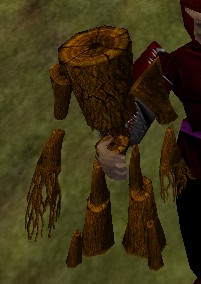Great Elariwood Idol Live.jpg