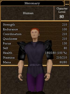 Mercenary (Level 80).jpg
