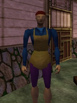 Farmer (Yanshi) Live.jpg