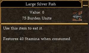 Large Fish.jpg