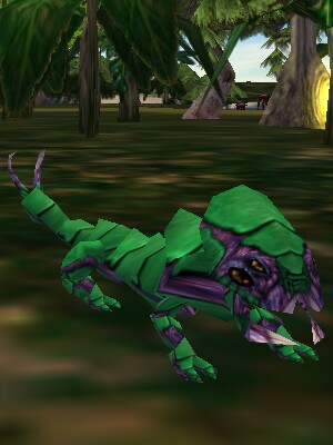 Stinging Chittick Live.jpg