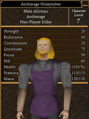 Archmage Nulsymber.jpg