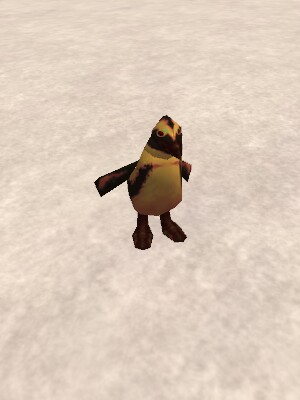 Arrogant Penguin Live.jpg