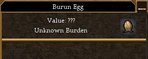 Burun Egg.jpg