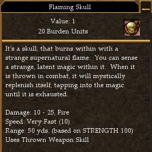 Flaming Skull.jpg