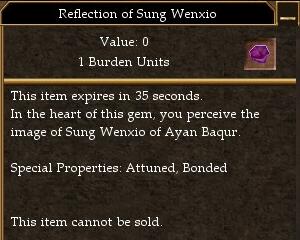 Reflection of Sung Wenxio.jpg