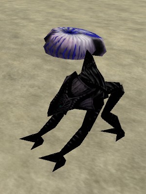 Shallows Gorger Live.jpg