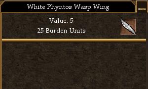 White Phyntos Wasp Wing.jpg