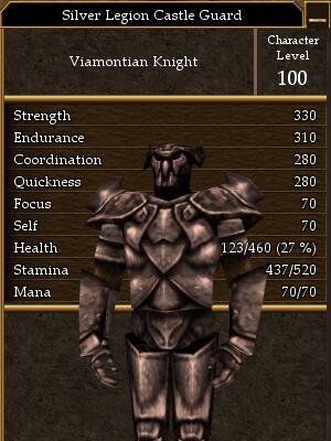 Silver Legion Castle Guard.jpg