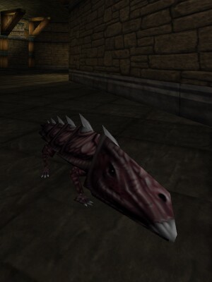 Spiny Armoredillo Live.jpg