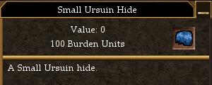 Small Ursuin Hide.jpg