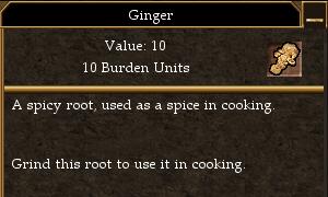 Ginger.jpg