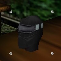 Reinforced Shou-jen Shozoku Mask 2 Live.jpg