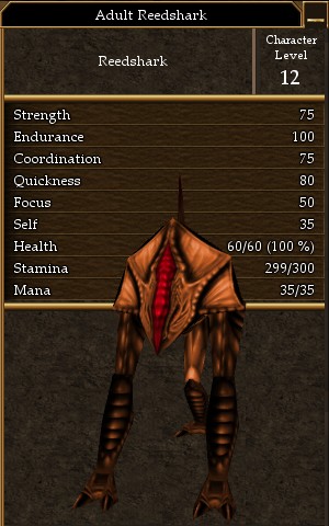 Adult Reedshark.jpg