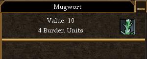 Mugwort.jpg