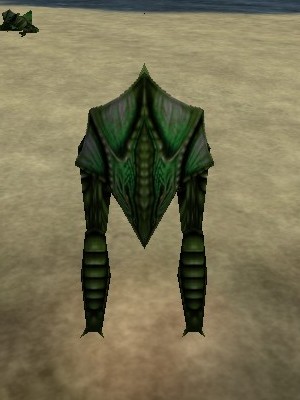 Shallows Slayer Live.jpg