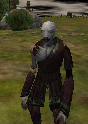 Maddened Fiun Live.jpg