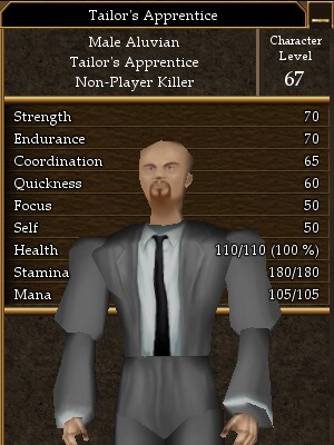 Tailor's Apprentice.jpg