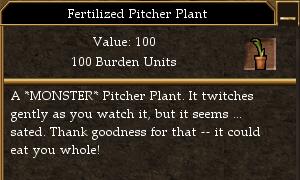 Fertilized Pitcher Plant.jpg