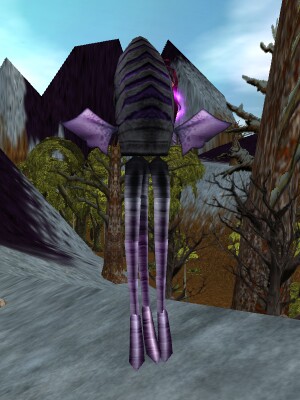 Sephal Nefane Live.jpg