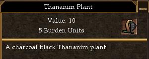 Thananim Plant.jpg