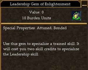 Leadership Gem of Enlightenment.jpg
