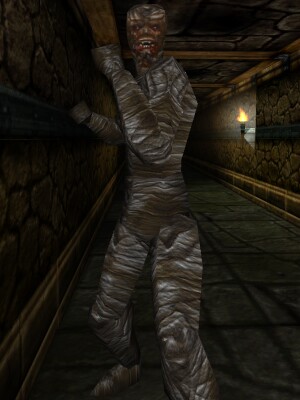 Desiccated Mu-miyah Live.jpg