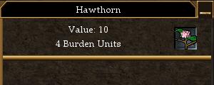 Hawthorn.jpg