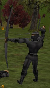 Master of Wind Live.jpg