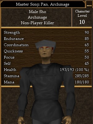 Master Sonji Pan, Archmage.jpg