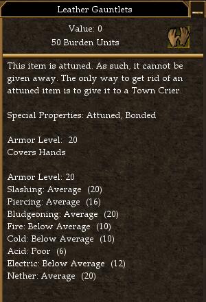 Leather Gauntlets (Training Academy).jpg