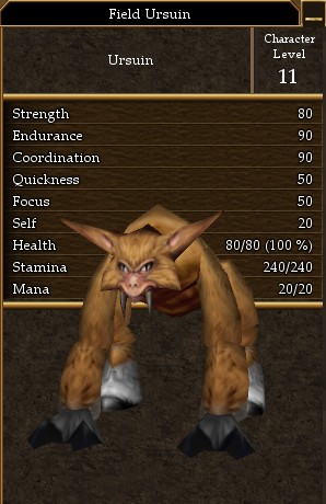 Field Ursuin.jpg