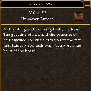 Stomach Wall.jpg