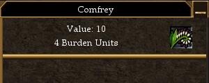 Comfrey.jpg