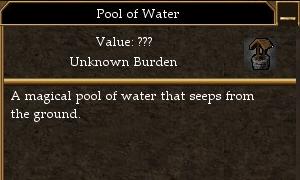 Pool of Water.jpg