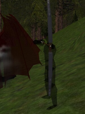 Void Knight Live.jpg