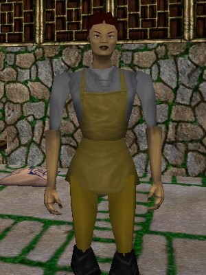 Kiun Baicho the Barkeeper Live.jpg