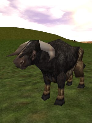 Auroch Bull Live.jpg