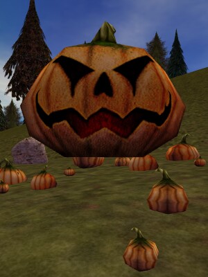 Majestic Pumpkin Live.jpg