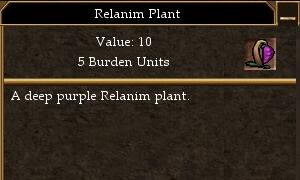 Relanim Plant.jpg