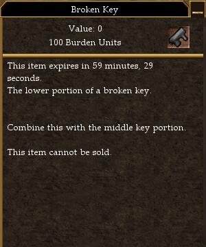Broken Key (Low).jpg
