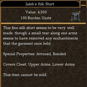 Jaleh's Silk Shirt.jpg