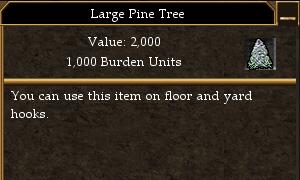 Large Pine Tree.jpg