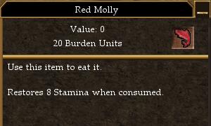 Molly.jpg