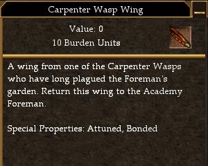Carpenter Wasp Wing.jpg