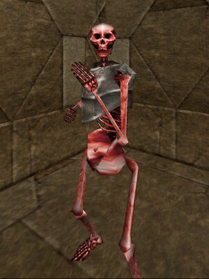 Skeletal Champion Live.jpg