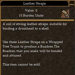 Leather Straps.jpg