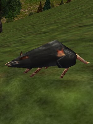 Wasteland Rat Live.jpg