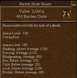 Shreth Hide Shoes.jpg